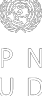 PNUD