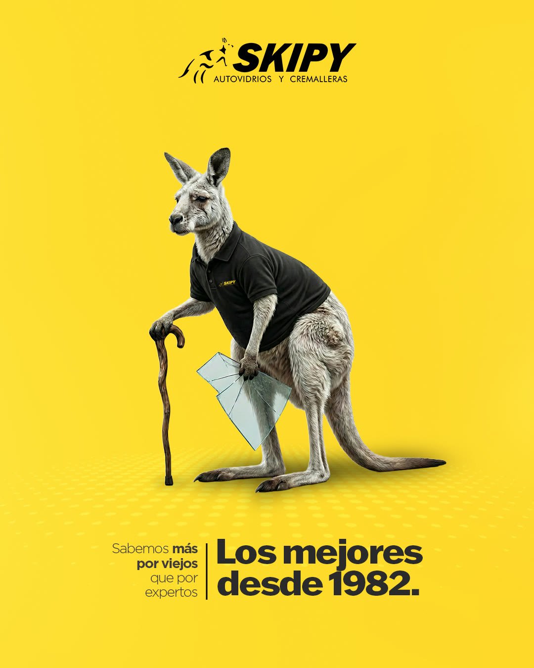 Diseño gráfico — Pieza gráfica